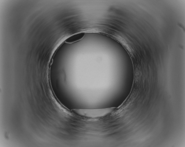 X0000096651484200802191231