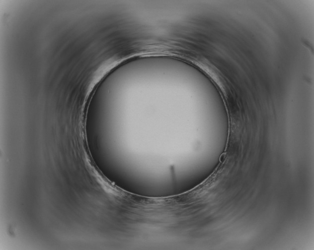 X0000096651485200802191231