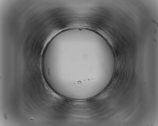 X0000096651486200802191231