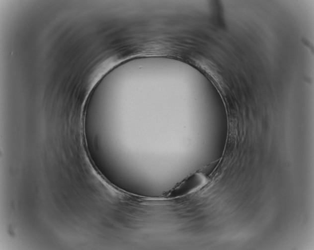 X0000096651487200802191231