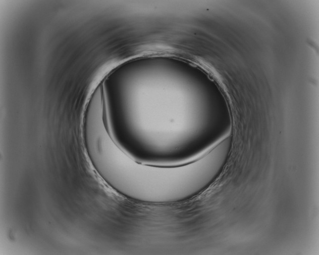 X0000096651488200802191231