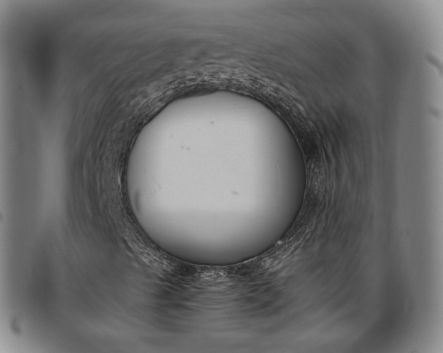 X0000096651489200802191230