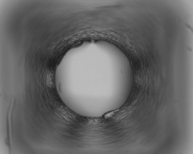 X0000096651490200802191230