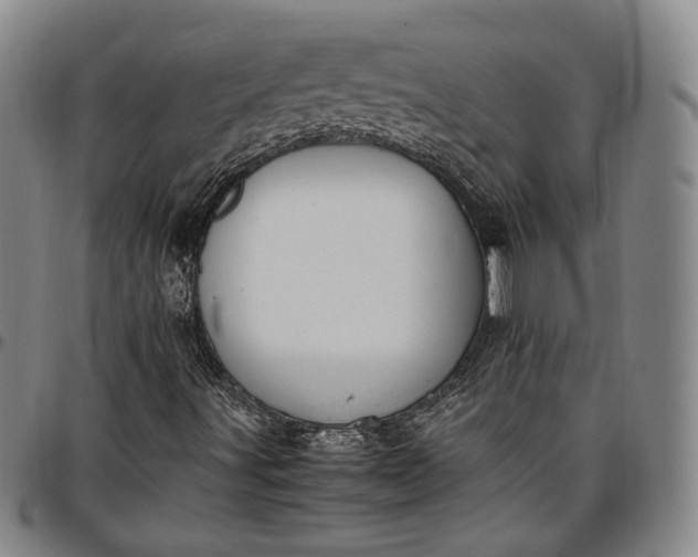 X0000096651491200802191230