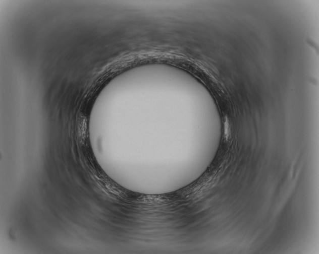 X0000096651492200802191230