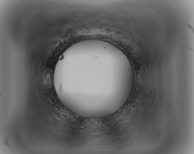 X0000096651493200802191230
