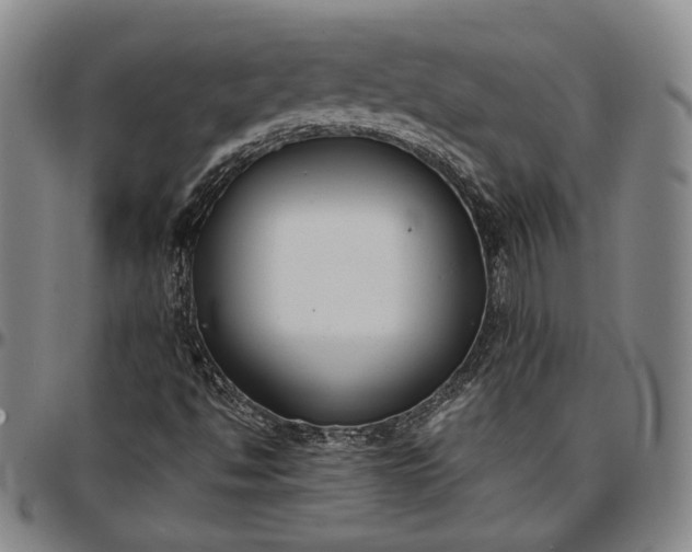 X0000096651494200802191230