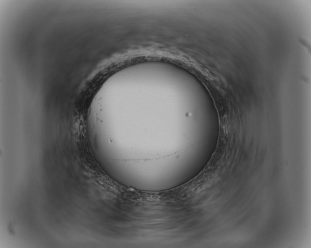 X0000096651495200802191230