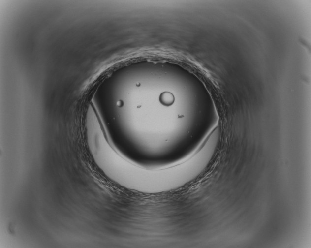 X0000096651496200802191230
