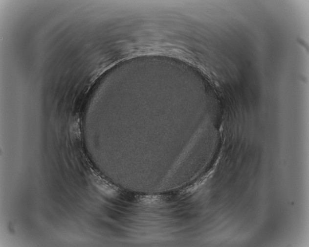 X0000096651497200802191230