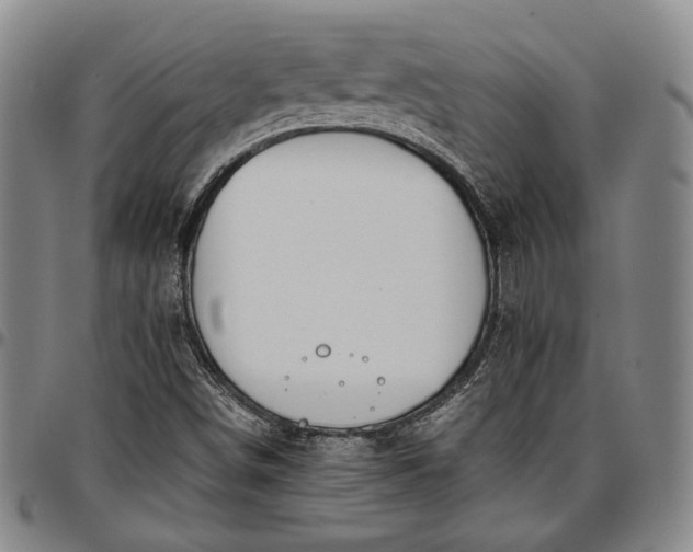 X0000096651498200802191230