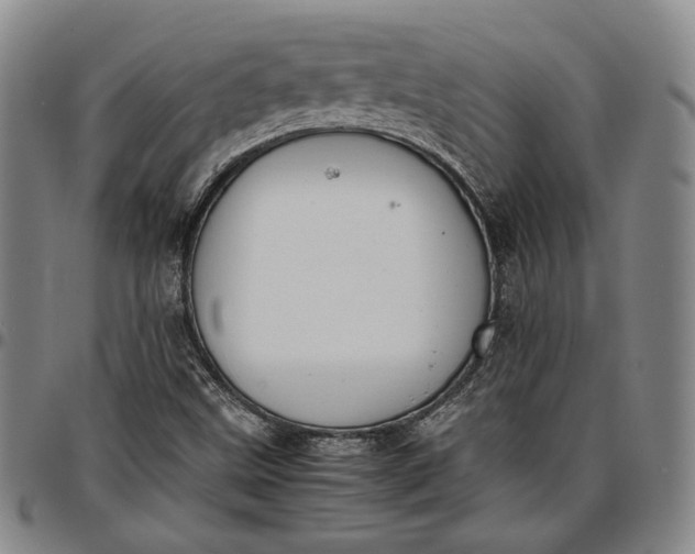 X0000096651499200802191230