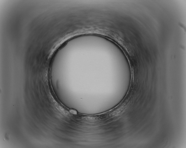 X0000096651500200802191230