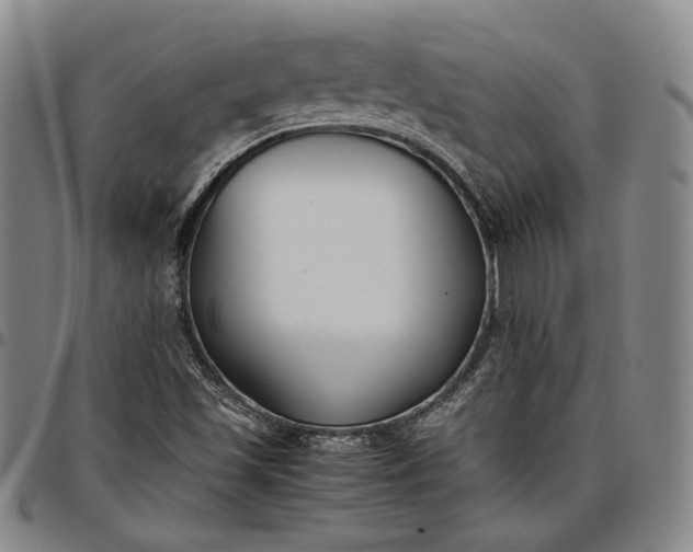 X0000096651501200802191230