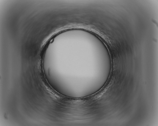 X0000096651502200802191230