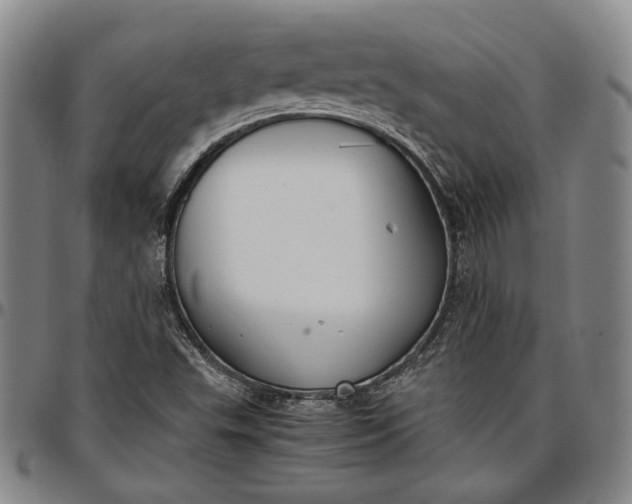 X0000096651503200802191230