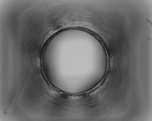 X0000096651505200802191230