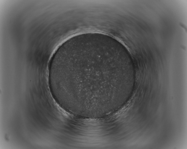 X0000096651508200802191230