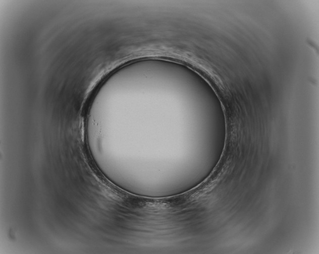 X0000096651509200802191230