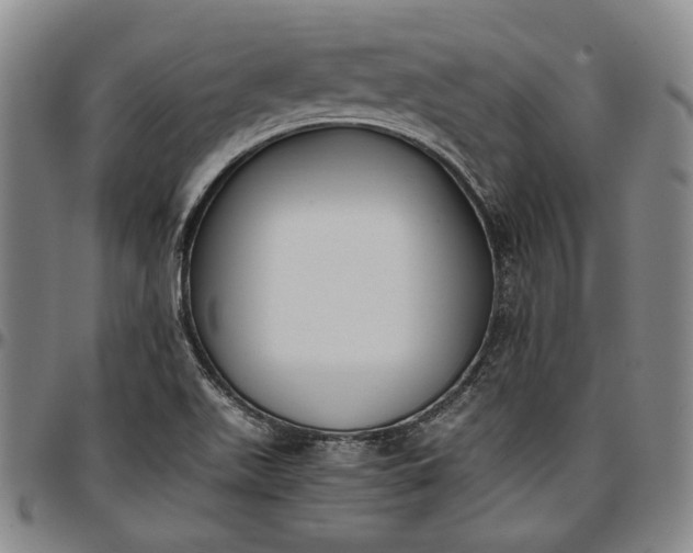 X0000096651511200802191230