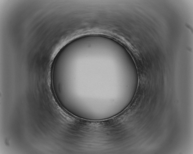 X0000096651512200802191230
