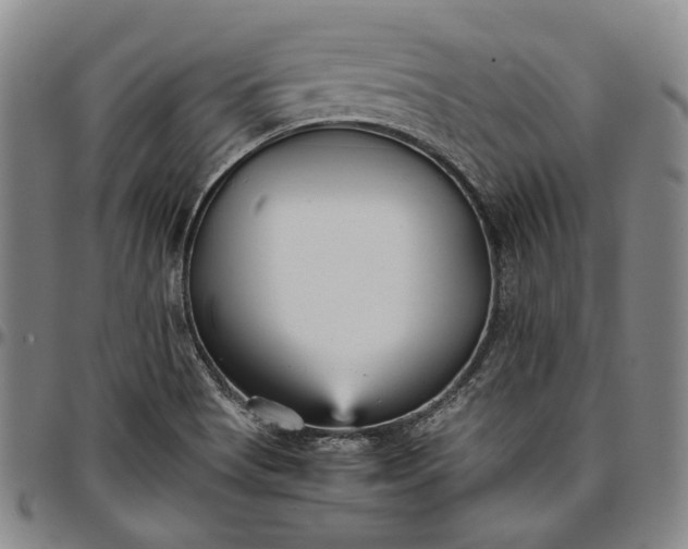X0000096651513200802191230