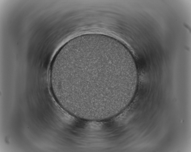 X0000096651514200802191230