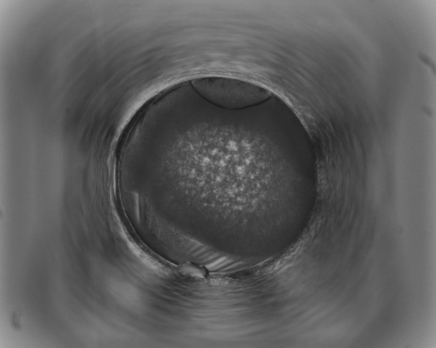 X0000096651515200802191230
