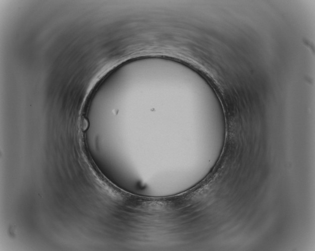 X0000096651517200802191230