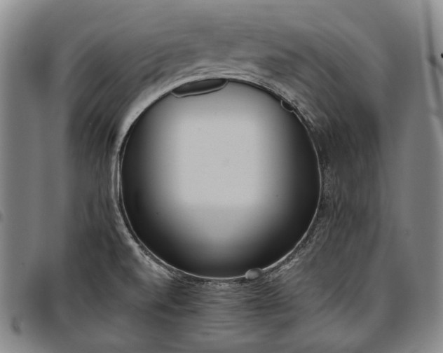 X0000096651520200802191230