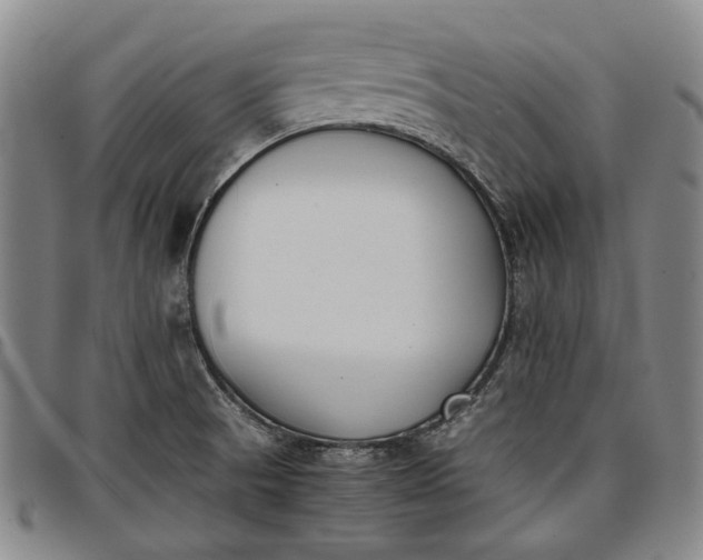 X0000096651521200802191230