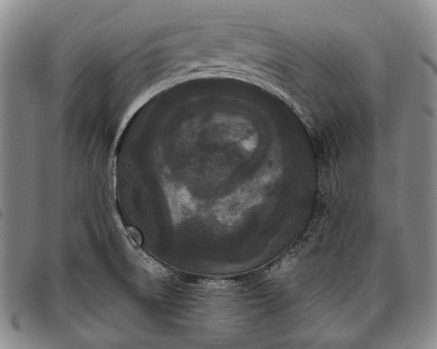 X0000096651522200802191230