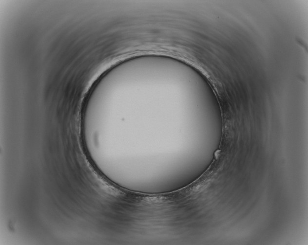 X0000096651523200802191230