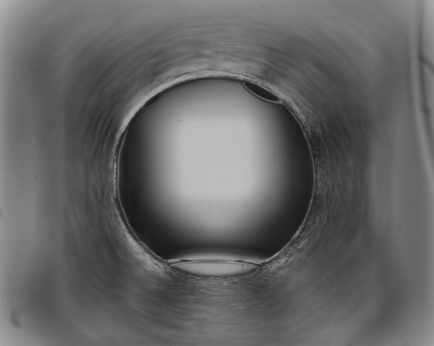 X0000096651524200802191230