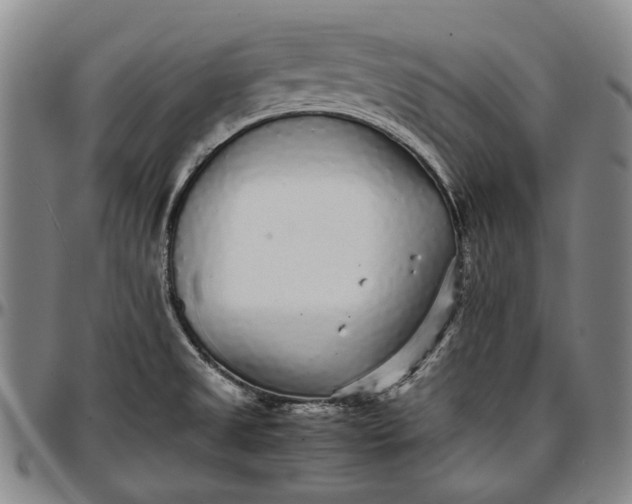 X0000096651525200802191230
