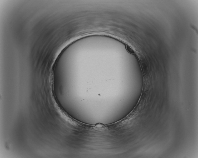 X0000096651526200802191230