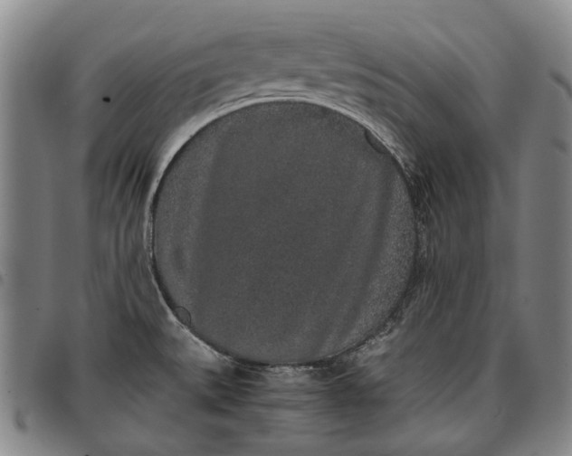X0000096651527200802191230