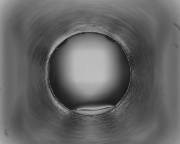 X0000096651528200802191230
