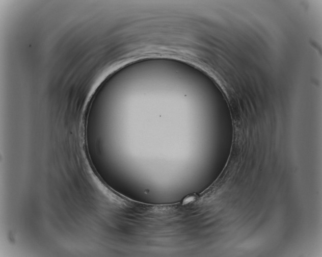 X0000096651531200802191231