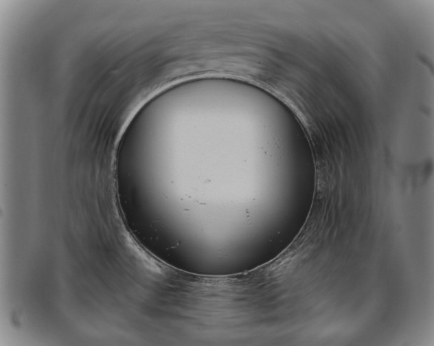 X0000096651532200802191231