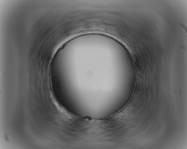 X0000096651534200802191231