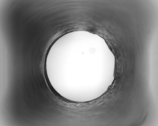 X0000096650003200802261331