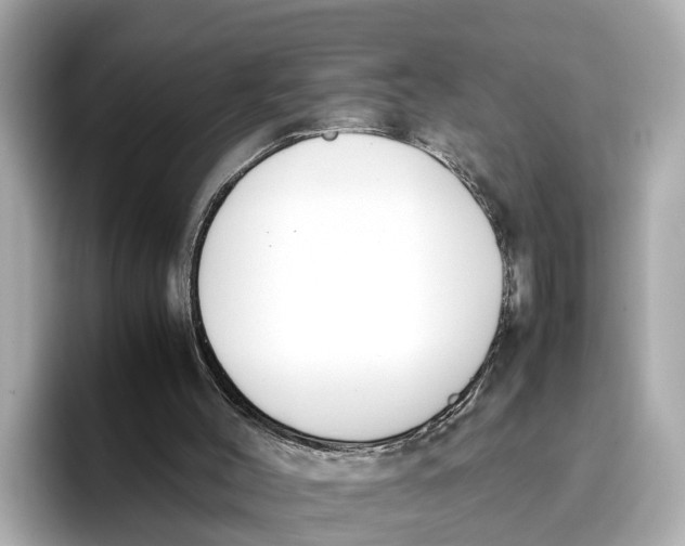 X0000096650004200802261331