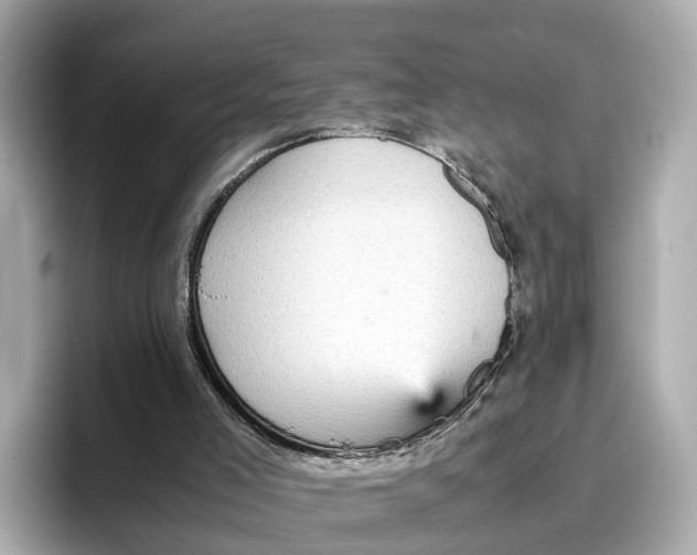 X0000096650005200802261331