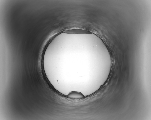 X0000096650006200802261331