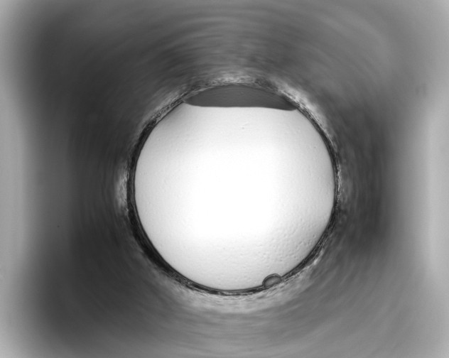 X0000096650010200802261331