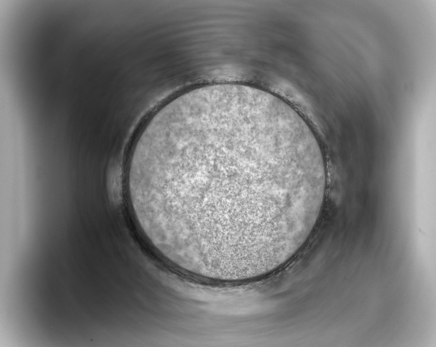 X0000096650012200802261331