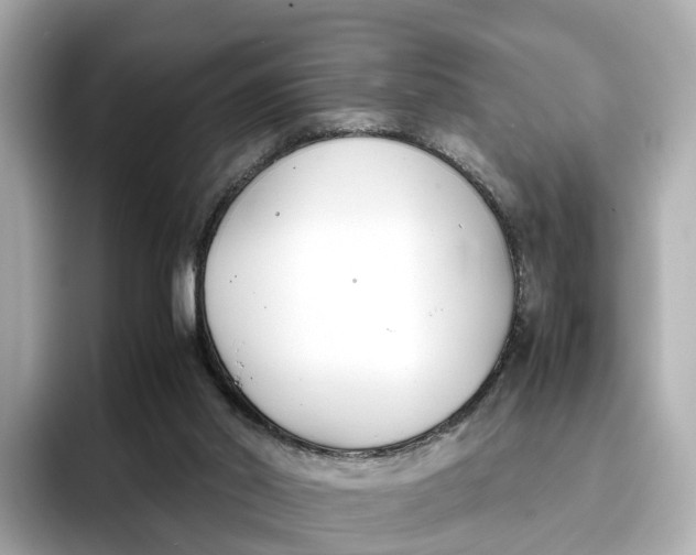 X0000096650014200802261330