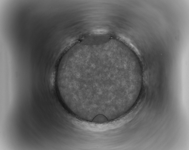 X0000096650018200802261330