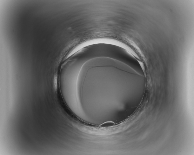 X0000096650019200802261330